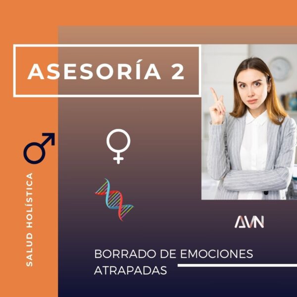 Asesoría 2